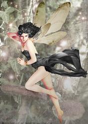 Forest Fairy Acantha Black A4