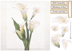 White Lily 8x8 Quick Card