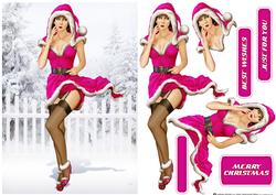 1950's Pin Up Girl Eva Grace Winter Wonderland Cerise