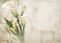 Wild Lily Backing Paper Cream