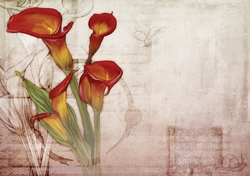 Wild Lily Backing Paper Red