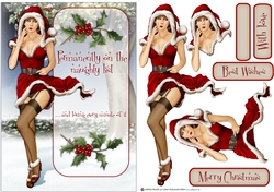 Naughty List
