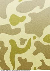 Army Dude Camoflage (sand)