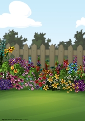 Fenced Garden Scene