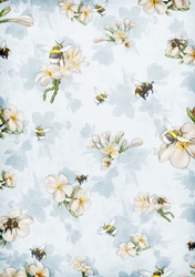 Bee Life Backing Paper Light Blue