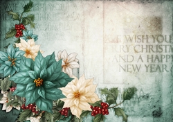 Poinsettia Christmas Spray Aqua