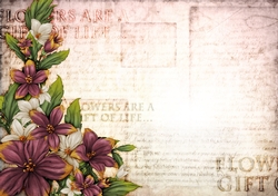 Sophia Floral Spray Paper Dark Pink