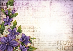 Sophia Floral Spray Paper Lilac