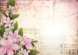 Sophia Floral Spray Paper Light Pink
