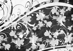 Saffron Swirl Paper Black