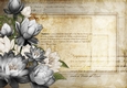 Lily Floral Spray Paper Black