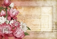 Lily Floral Spray Paper Dark Pink