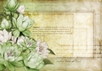 Lily Floral Spray Paper Green