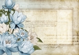 Lily Floral Spray Paper Light Blue