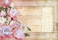 Lily Floral Spray Paper Light Pink
