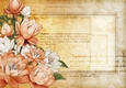 Lily Floral Spray Paper Light Peach