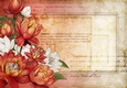 Lily Floral Spray Paper Red