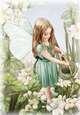 Forest Fairy Evie Aqua A4