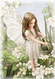 Forest Fairy Evie Cream A4