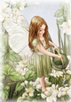 Forest Fairy Evie Green A4