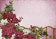 Art Deco Lola Poinsettia Paper Dark Pink