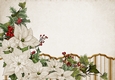 Art Deco Lola Poinsettia Paper Cream