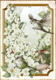 Long Tailed Bird with Blossom Green A4