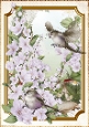 Long Tailed Bird with Blossom Lilac A4
