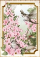 Long Tailed Bird with Blossom Pink A4