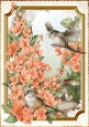 Long Tailed Bird with Blossom Peach A4