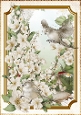 Long Tailed Bird with Blossom Cream A4