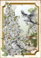 Long Tailed Bird with Blossom Silver A4