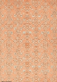 Art Nouveau Delphine Patterned Stripe Peach
