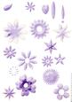 Shabby Chic Flower Petal Sets (lilac)