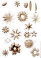 Shabby Chic Flower Petal Sets (brown)