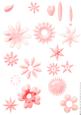 Shabby Chic Flower Petal Sets (pink)