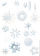 Shabby Chic Flower Petal Sets (light Blue)