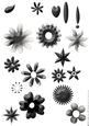 Shabby Chic Flower Petal Sets (black)