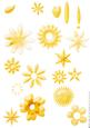 Shabby Chic Flower Petal Sets (yellow)