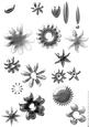 Shabby Chic Flower Petal Sets (metalic Silver)