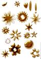 Shabby Chic Flower Petal Sets (metalic Brass)