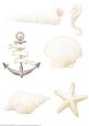 Seaside Embellishments (pale)