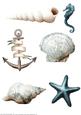 Seaside Embellishments (blue)