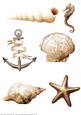 Seaside Embellishments (brown)
