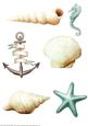 Seaside Embellishments (aqua)