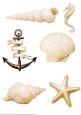 Seaside Embellishments (sepia)