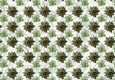 Poinsettia Christmas Spread Green