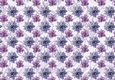 Poinsettia Christmas Spread Lilac