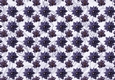 Poinsettia Christmas Spread Purple