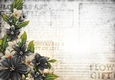 Sophia Floral Spray Paper Black